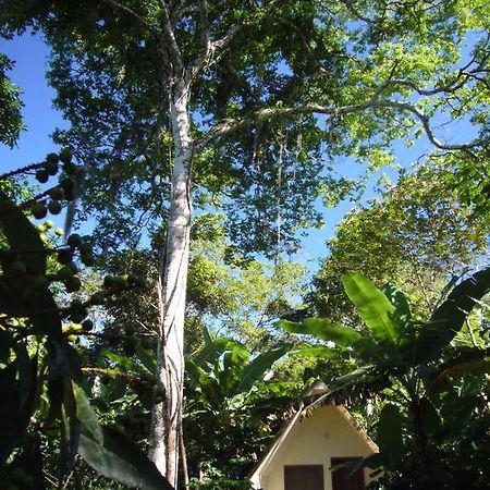 Chales Sitio Do Alemao Убажара Экстерьер фото