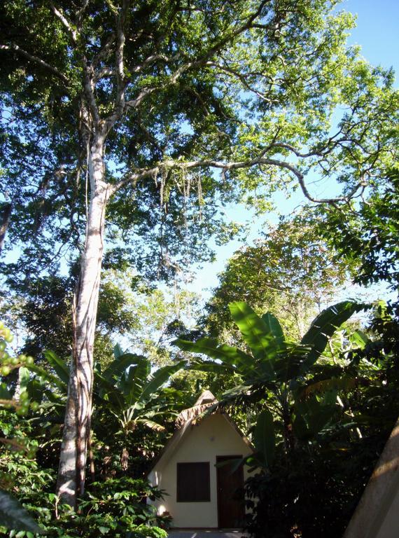 Chales Sitio Do Alemao Убажара Экстерьер фото