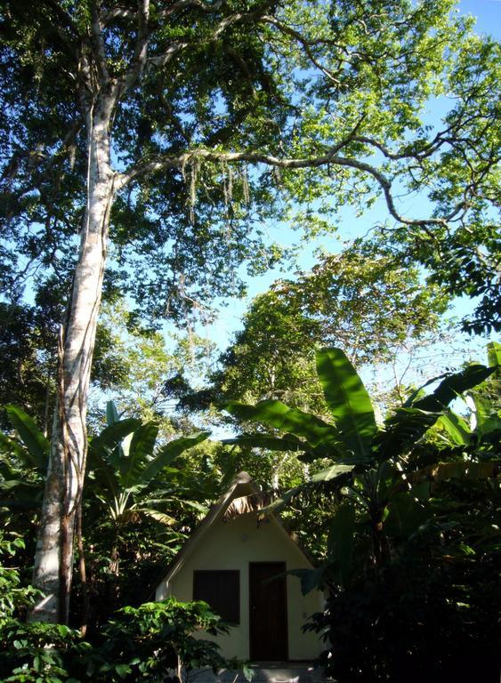 Chales Sitio Do Alemao Убажара Экстерьер фото