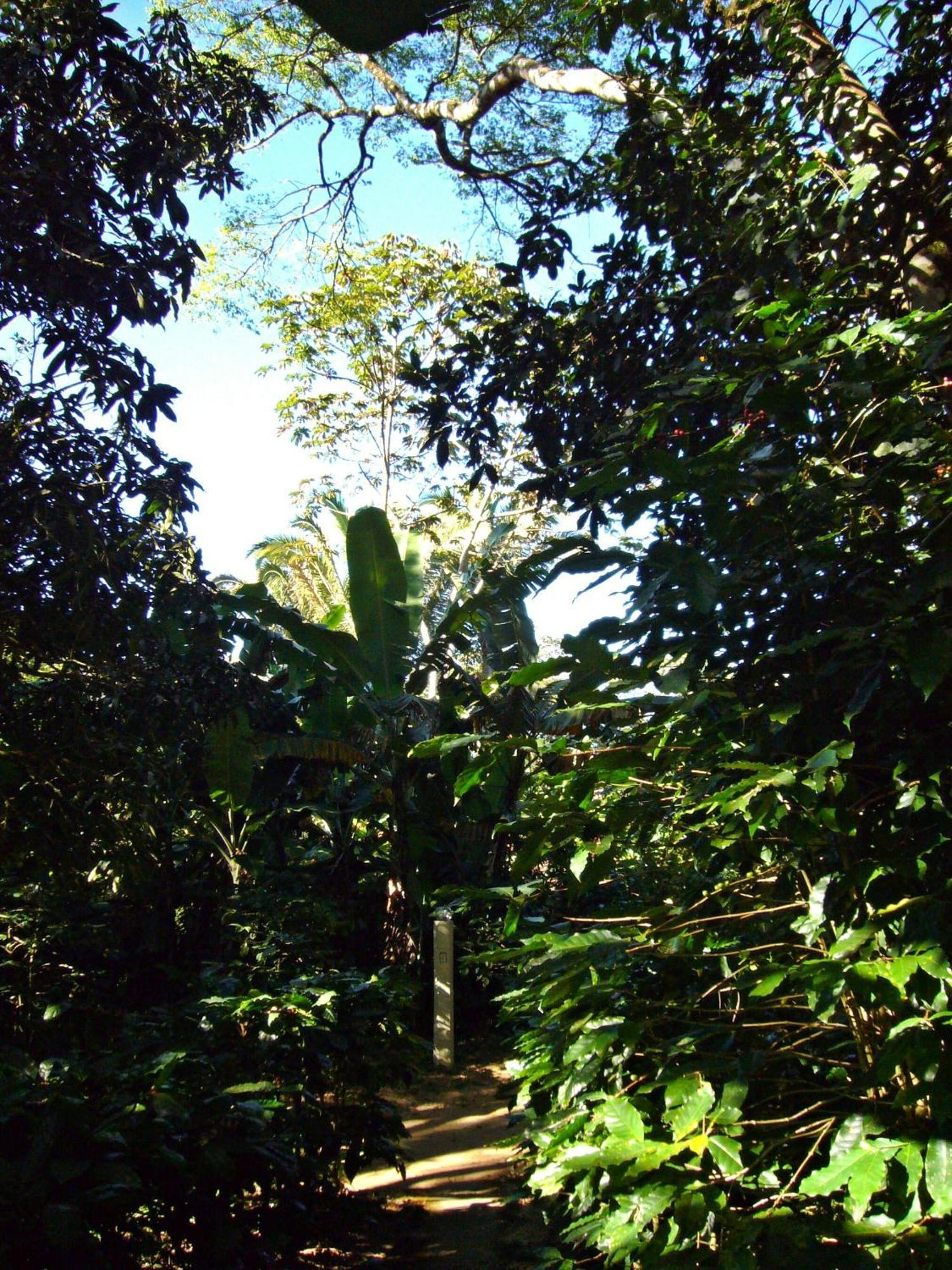 Chales Sitio Do Alemao Убажара Экстерьер фото