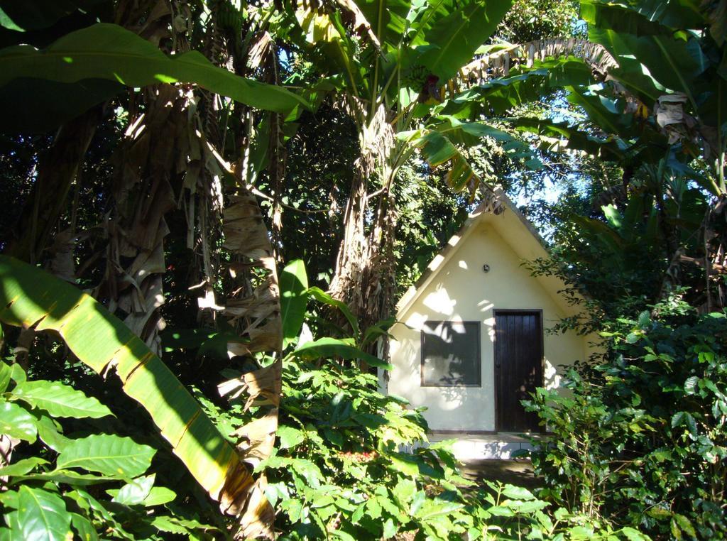 Chales Sitio Do Alemao Убажара Экстерьер фото