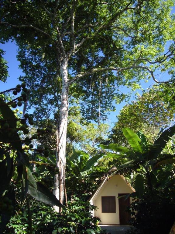 Chales Sitio Do Alemao Убажара Экстерьер фото