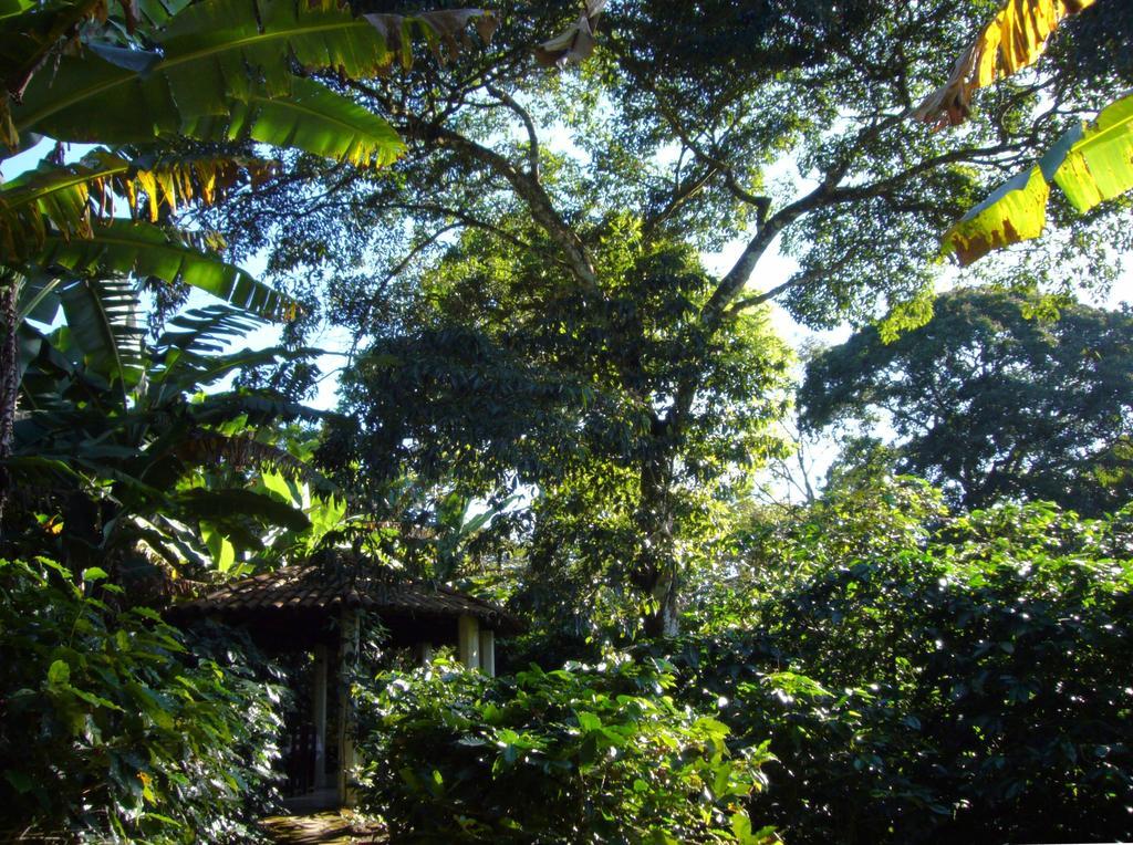 Chales Sitio Do Alemao Убажара Экстерьер фото