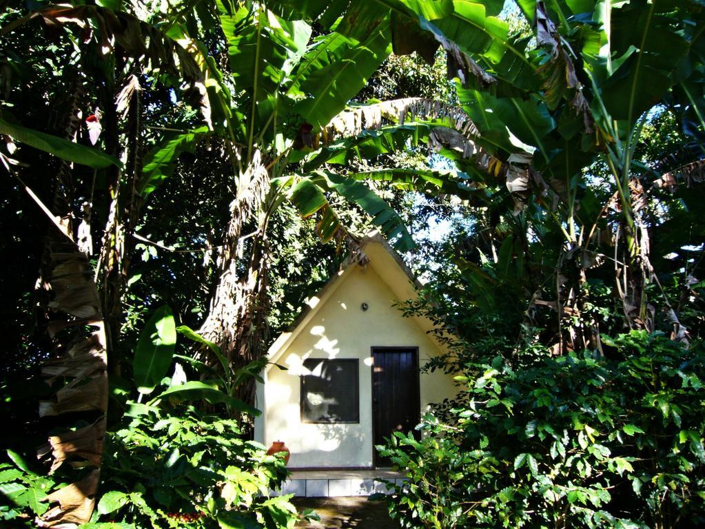 Chales Sitio Do Alemao Убажара Экстерьер фото