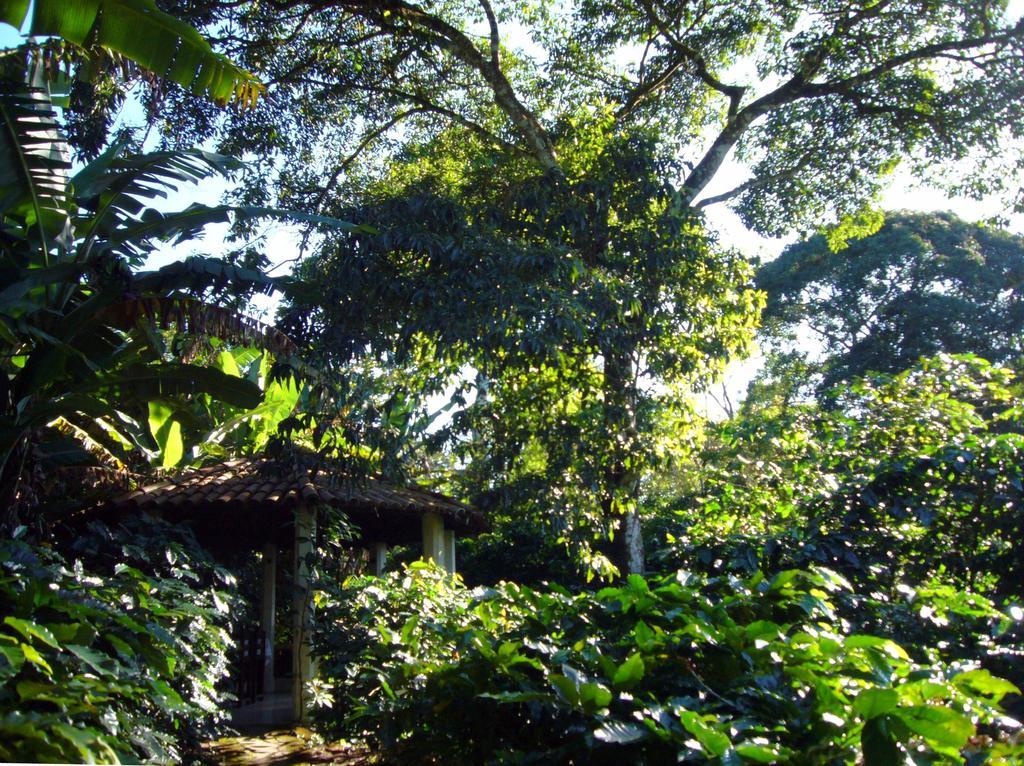 Chales Sitio Do Alemao Убажара Экстерьер фото