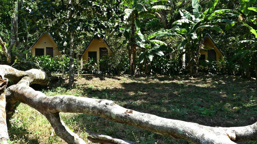 Chales Sitio Do Alemao Убажара Экстерьер фото