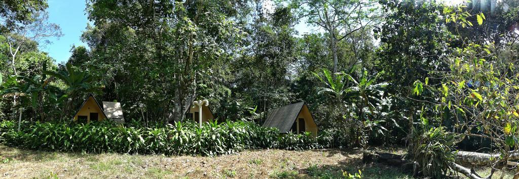 Chales Sitio Do Alemao Убажара Экстерьер фото